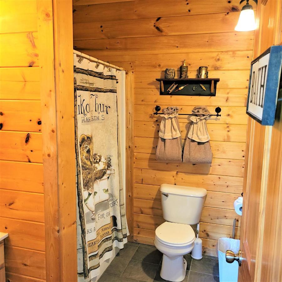 פיג'ן פורג' Skinny Dippin'-River Front- Free Tickets-Dog Friendly-Sleeps 6 מראה חיצוני תמונה